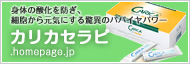 カリカセラピ.homepage.jp
